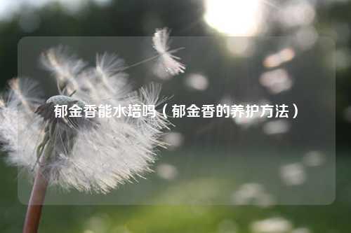 郁金香能水培吗（郁金香的养护方法） 花卉