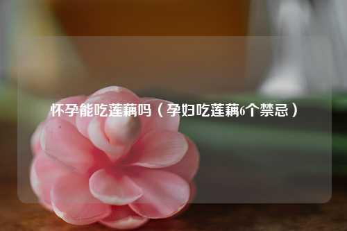 怀孕能吃莲藕吗（孕妇吃莲藕6个禁忌） 花卉