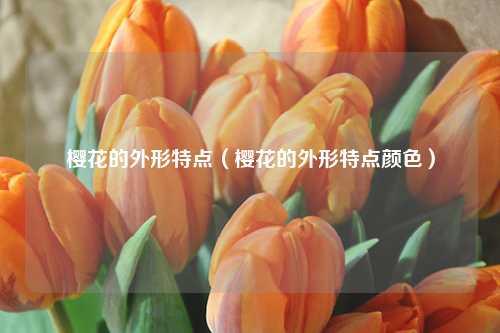 樱花的外形特点（樱花的外形特点颜色） 花卉