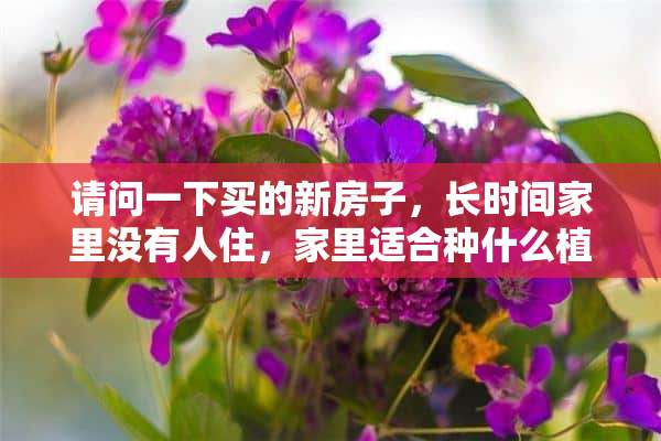 请问一下买的新房子，长时间家里没有人住，家里适合种什么植物和花草 种植物最需要的是什么