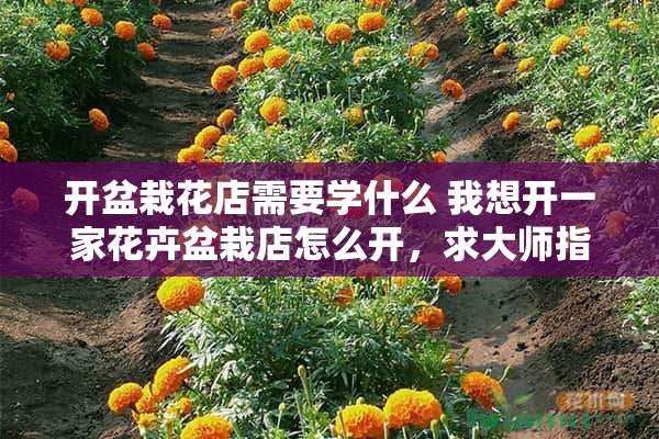 开盆栽花店需要学什么 我想开一家花卉盆栽店怎么开，求大师指点