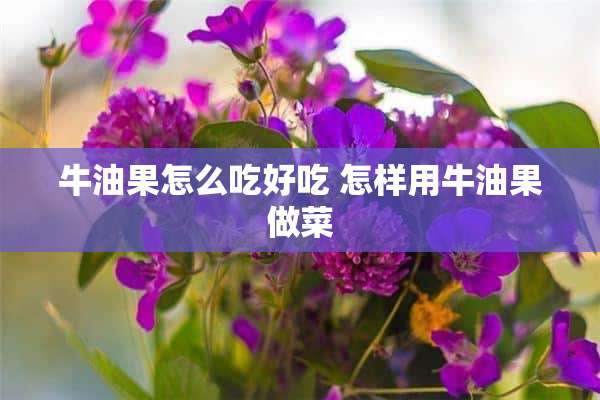 牛油果怎么吃好吃 怎样用牛油果做菜