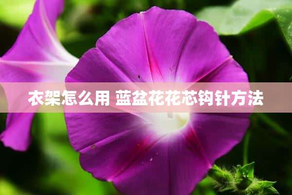 衣架怎么用 蓝盆花花芯钩针方法