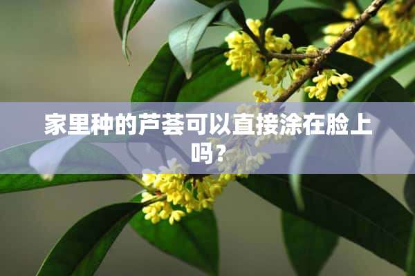 家里种的芦荟可以直接涂在脸上吗？