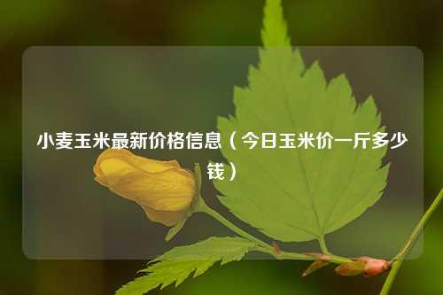 小麦玉米最新价格信息（今日玉米价一斤多少钱） 花卉