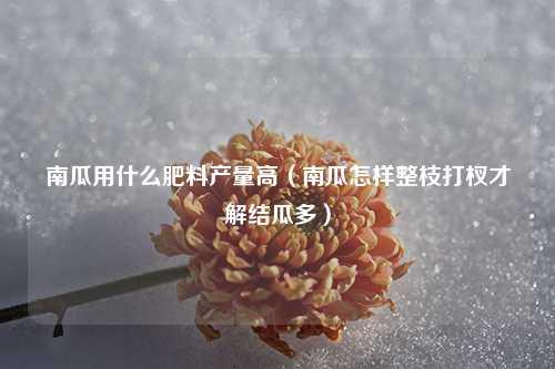 南瓜用什么肥料产量高（南瓜怎样整枝打杈才解结瓜多） 花卉