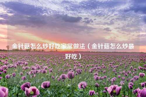 金针菇怎么炒好吃家常做法（金针菇怎么炒最好吃） 花卉