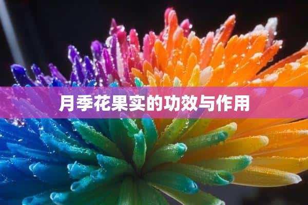 月季花果实的功效与作用