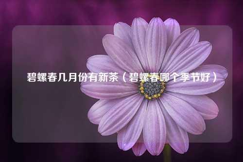 碧螺春几月份有新茶（碧螺春哪个季节好） 花卉