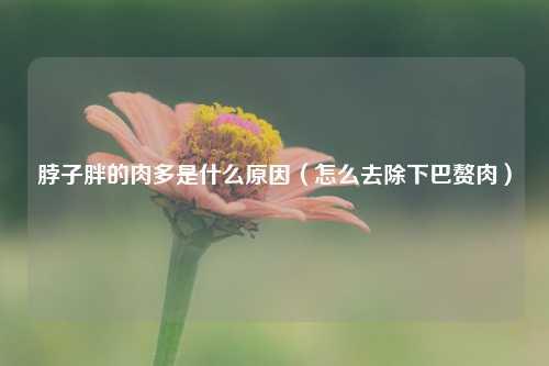 脖子胖的肉多是什么原因（怎么去除下巴赘肉） 花卉