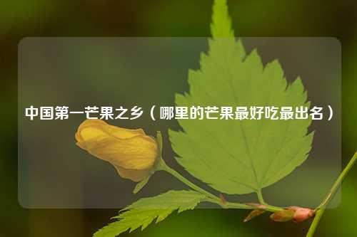 中国第一芒果之乡（哪里的芒果最好吃最出名） 花卉