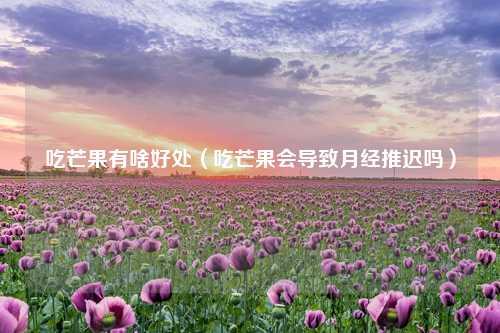 吃芒果有啥好处（吃芒果会导致月经推迟吗）