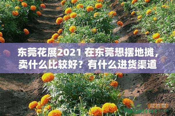 东莞花展2021 在东莞想摆地摊，卖什么比较好？有什么进货渠道吗