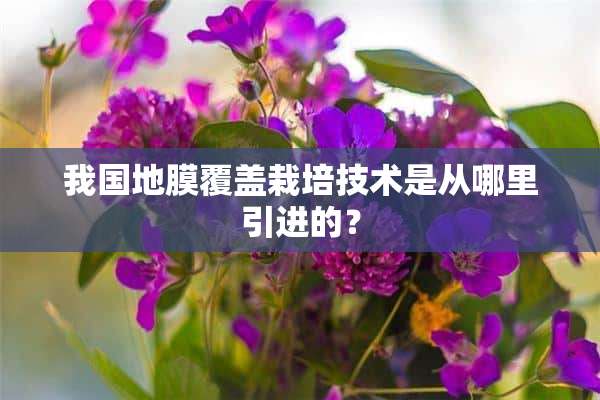 我国地膜覆盖栽培技术是从哪里引进的？