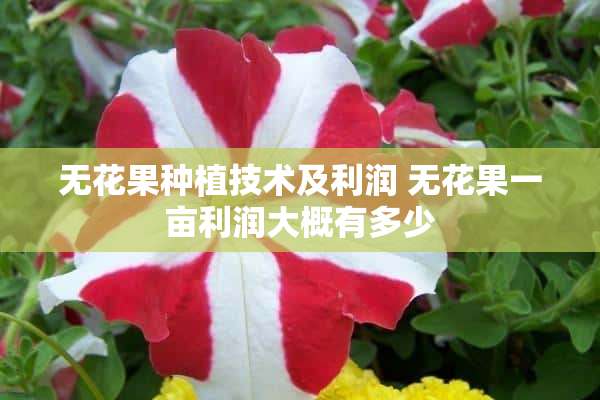 无花果种植技术及利润 无花果一亩利润大概有多少