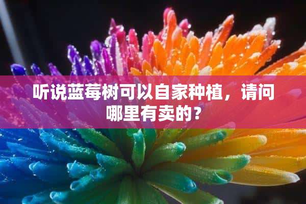 听说蓝莓树可以自家种植，请问哪里有卖的？