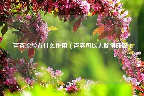 芦荟涂脸有什么作用（芦荟可以去除痘印吗） 花卉