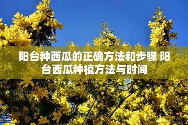 阳台种西瓜的正确方法和步骤 阳台西瓜种植方法与时间