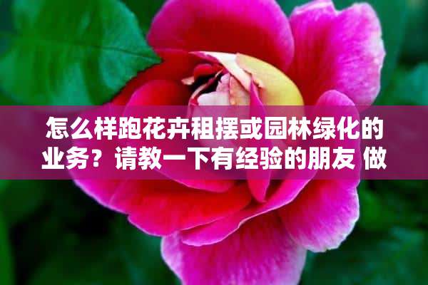 怎么样跑花卉租摆或园林绿化的业务？请教一下有经验的朋友 做绿植租摆有钱赚吗