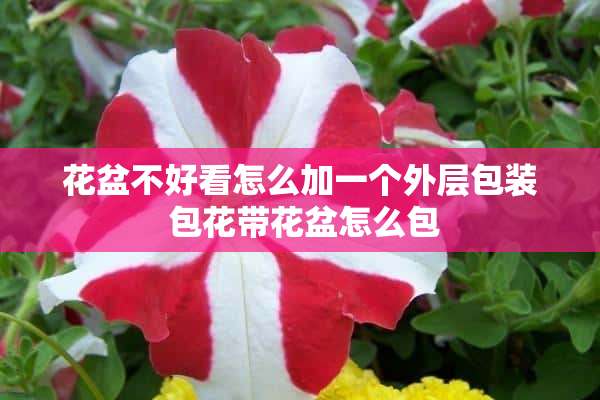 花盆不好看怎么加一个外层包装 包花带花盆怎么包