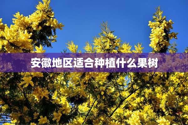 安徽地区适合种植什么果树