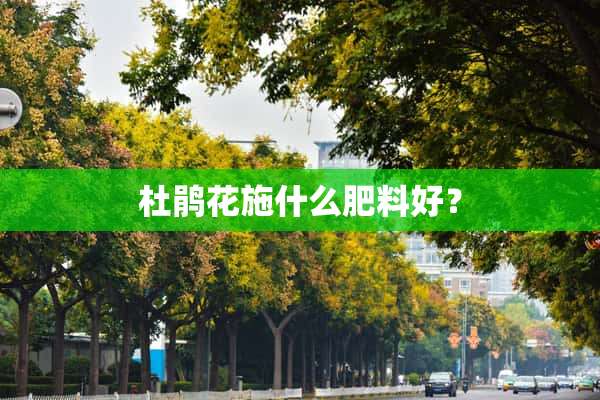 杜鹃花施什么肥料好？