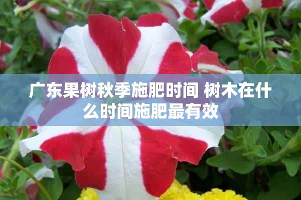 广东果树秋季施肥时间 树木在什么时间施肥最有效