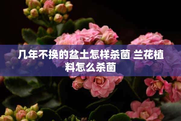 几年不换的盆土怎样杀菌 兰花植料怎么杀菌