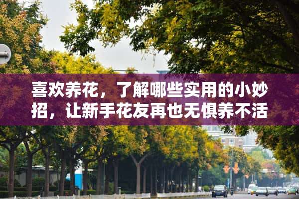 喜欢养花，了解哪些实用的小妙招，让新手花友再也无惧养不活了？