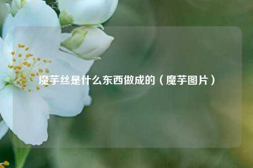 魔芋丝是什么东西做成的（魔芋图片） 花卉