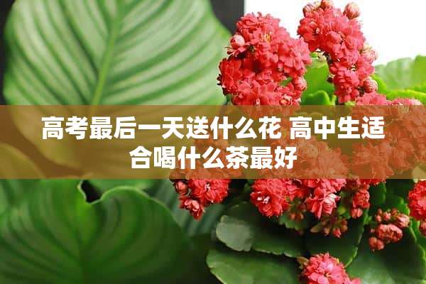 高考最后一天送什么花 高中生适合喝什么茶最好