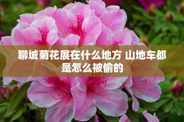 聊城菊花展在什么地方 山地车都是怎么被偷的