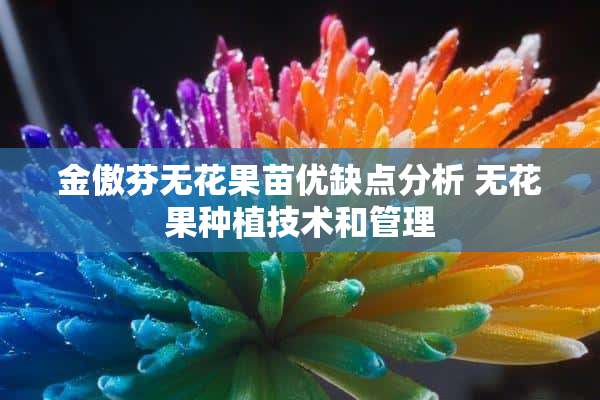 金傲芬无花果苗优缺点分析 无花果种植技术和管理