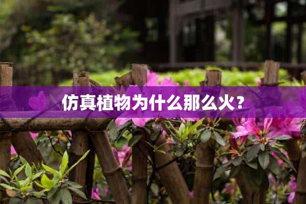 仿真植物为什么那么火？