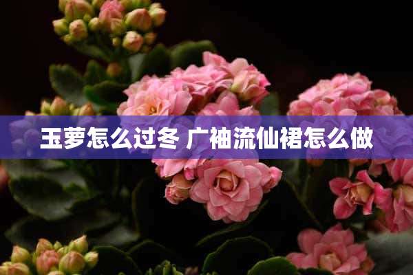 玉萝怎么过冬 广袖流仙裙怎么做