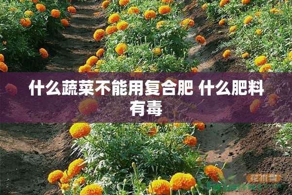 什么蔬菜不能用复合肥 什么肥料有毒