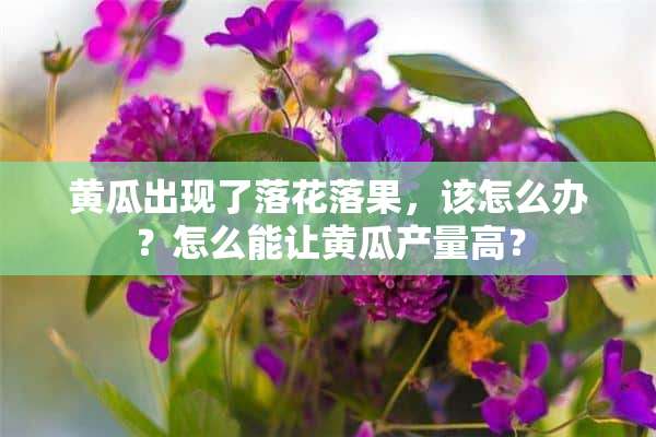 黄瓜出现了落花落果，该怎么办？怎么能让黄瓜产量高？