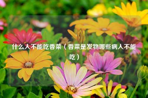 什么人不能吃香菜（香菜是发物哪些病人不能吃）