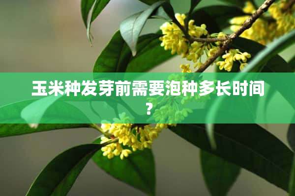 玉米种发芽前需要泡种多长时间？