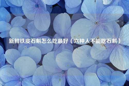 新鲜铁皮石斛怎么吃最好（六种人不能吃石斛） 花卉