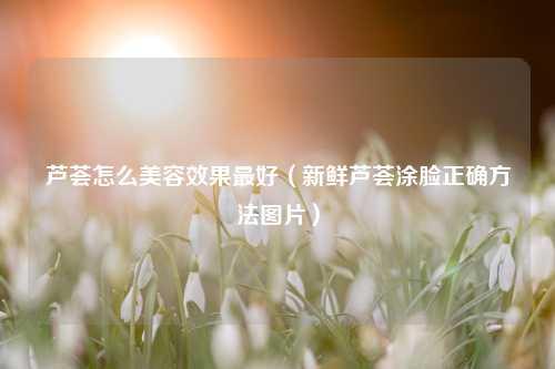 芦荟怎么美容效果最好（新鲜芦荟涂脸正确方法图片） 花卉