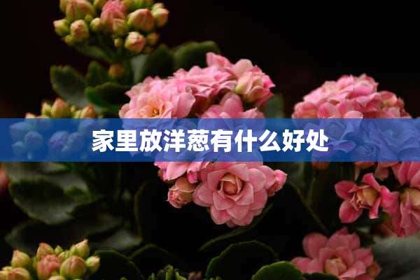 家里放洋葱有什么好处