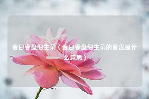 春日春盘细生菜（春日春盘细生菜的春盘是什么意思）