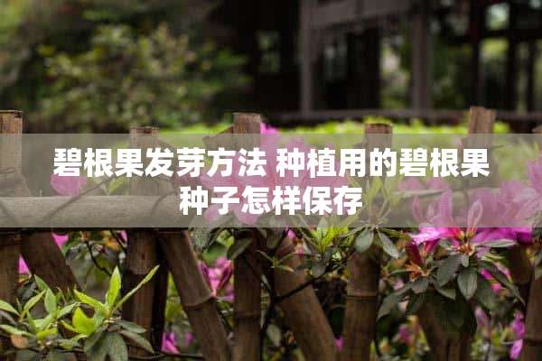 碧根果发芽方法 种植用的碧根果种子怎样保存