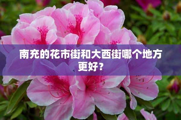 南充的花市街和大西街哪个地方更好？