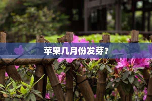 苹果几月份发芽？