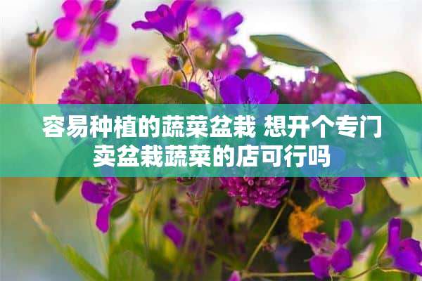 容易种植的蔬菜盆栽 想开个专门卖盆栽蔬菜的店可行吗