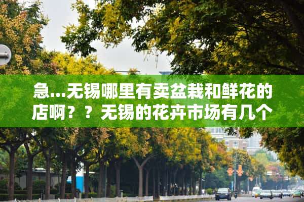 急...无锡哪里有卖盆栽和鲜花的店啊？？无锡的花卉市场有几个？具体地址在那里？