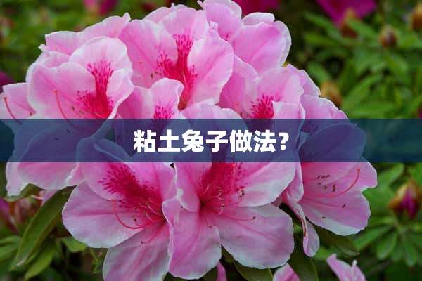 粘土兔子做法？