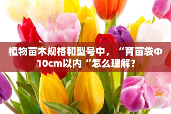 植物苗木规格和型号中，“育苗袋Φ10cm以内“怎么理解？